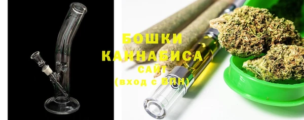 бошки Белокуриха