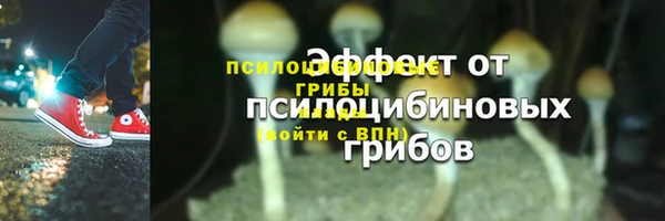 бошки Белокуриха