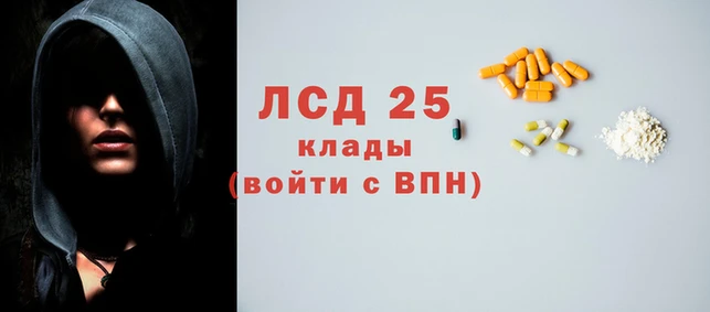 бошки Белокуриха