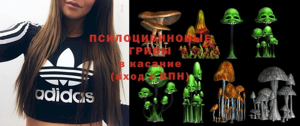 бошки Белокуриха