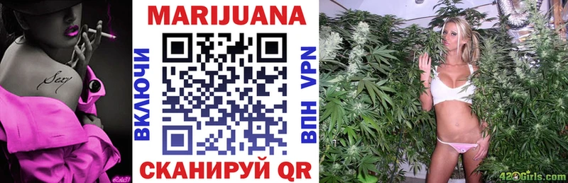 Каннабис планчик  Оха 