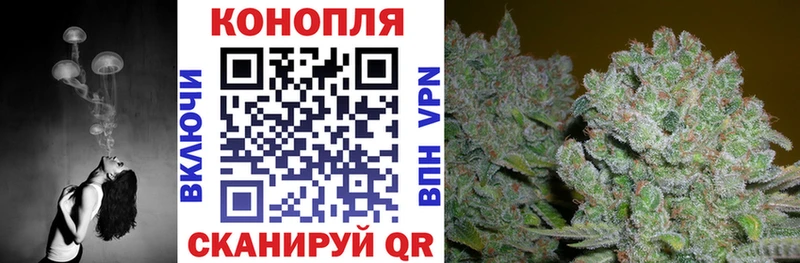 Канабис гибрид Оха